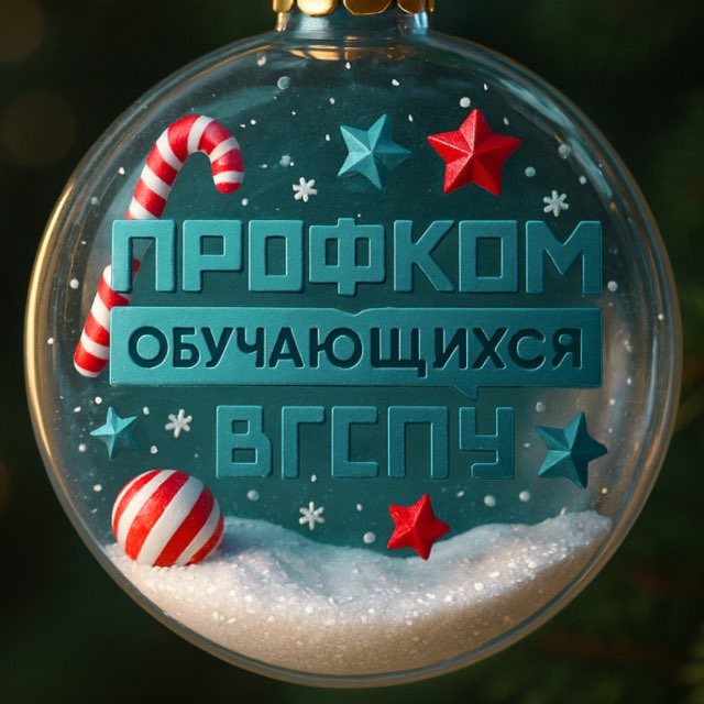 Профсоюзная организация обучающихся ВГСПУ