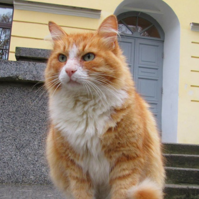 Кремлёвка