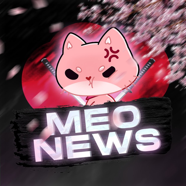 MEO NEWS