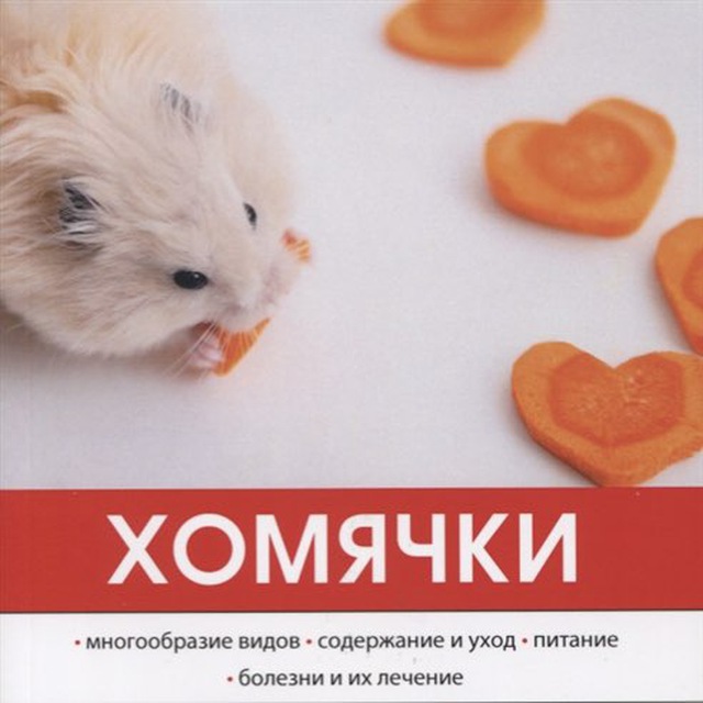 Бездом2ные