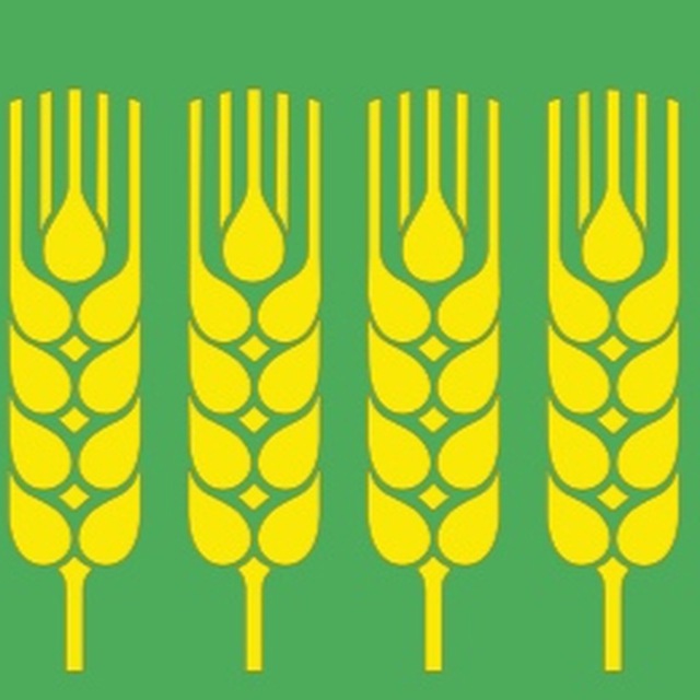 Администрация Дюртюлинского района