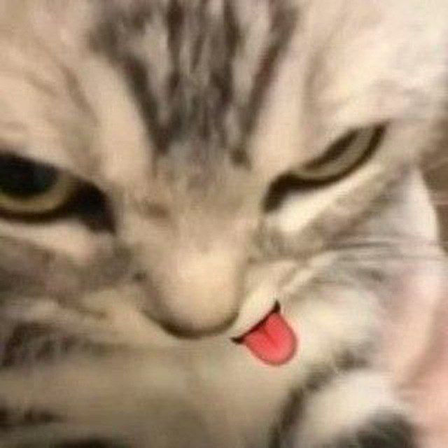 sonix_lavix