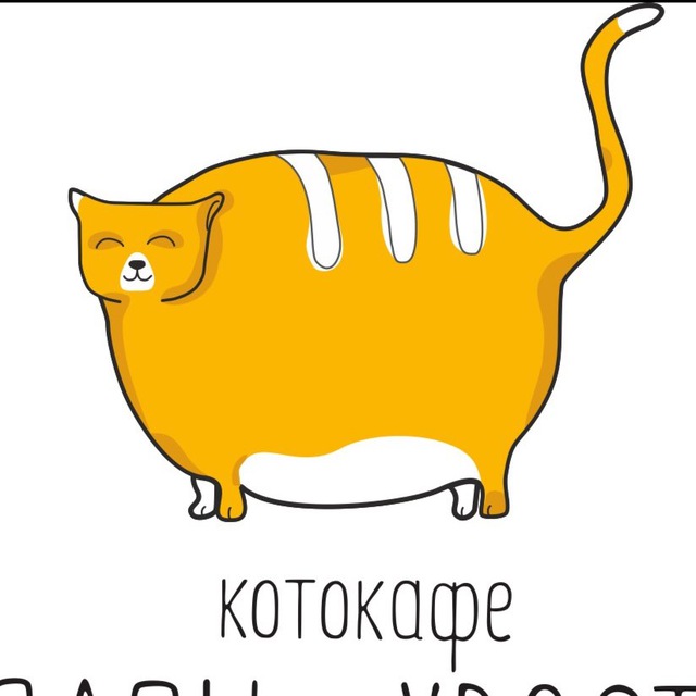 Лапы и Хвосты котокафе