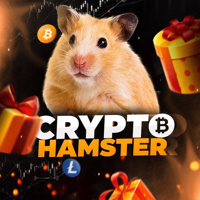 Необходимо подписаться на канал hamster. Hamsters Дата закрытия.