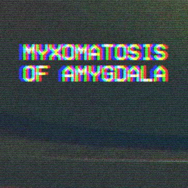Миксоматоз амигдалы