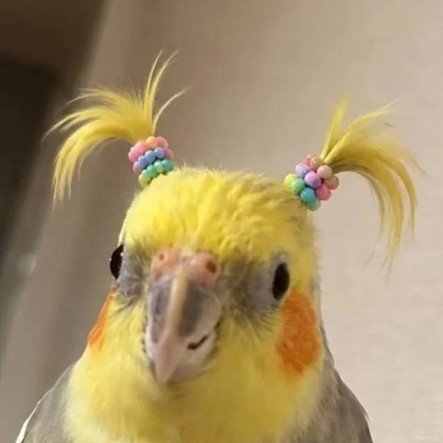 женя няже