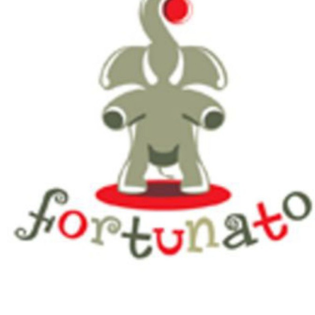 Travel Agency Fortunato Путешествие Бронирование Он-лайн Новости туризма