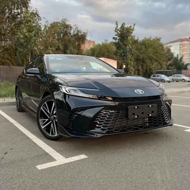 Toyota Camry 80