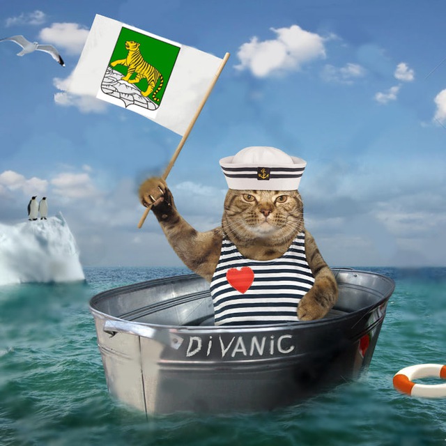 Диванный флот