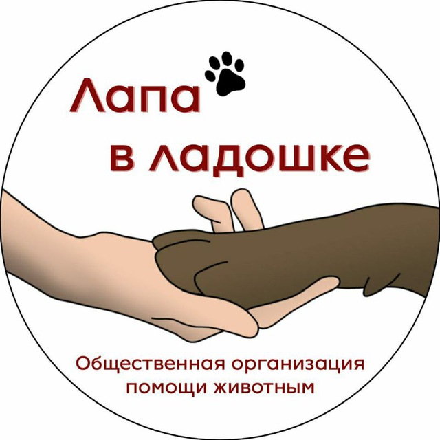 Лапа в ладошке