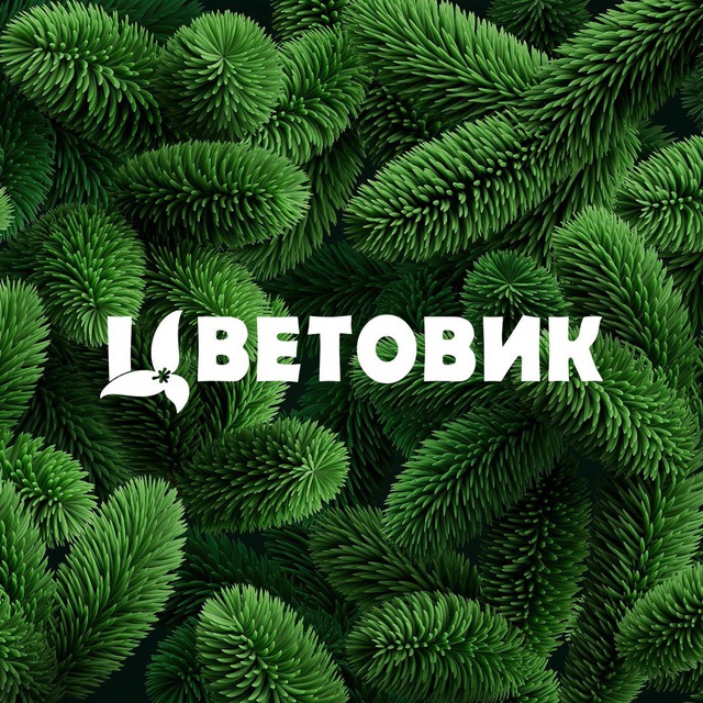 Цветовик — доставка цветов: СПб, Москва, Псков