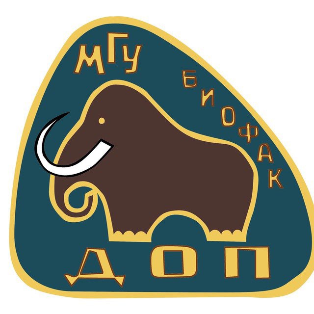 ДОП МГУ. Новости