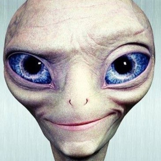 Ufogid