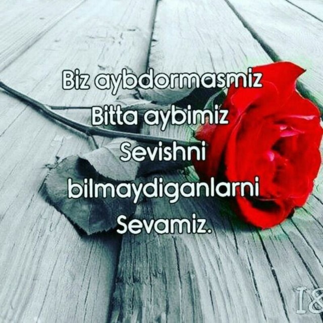 Yuliya Shubareva yalangoch Yoshlar rus pornosini dam olishadi