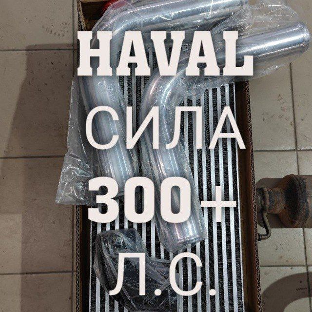 Проект: Haval Сила 300+ л. с. Если вам кажется, что всё под контролем, значит вы не достаточно быстро едете.