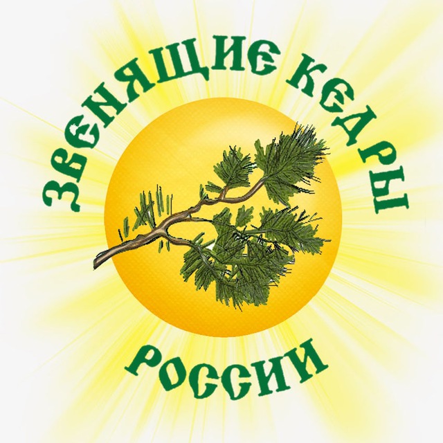 Звенящие Кедры России