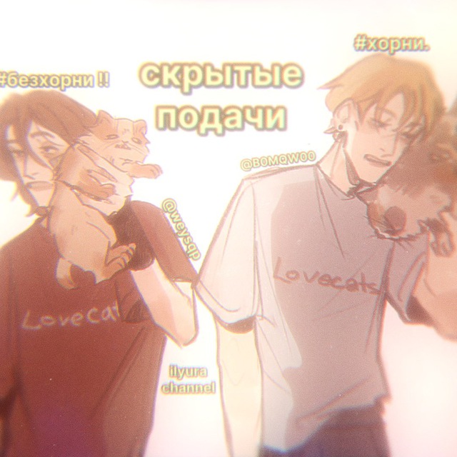 ✶ ꒰ . . скрытые подачи «?» ильюры ‘ ˎˊ˗