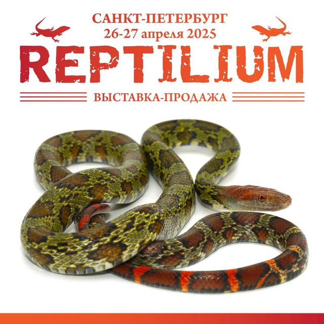 Рептилиум Reptilium | змеи | ящерицы | лягушки | рыбки