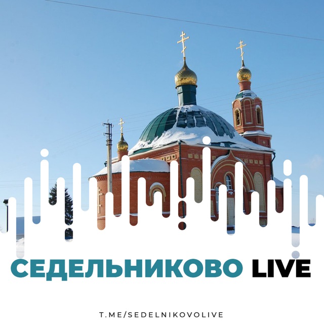 Седельниково Live