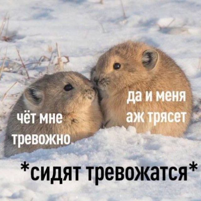 нытач