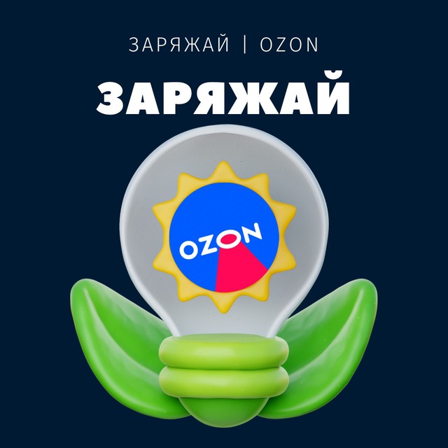 ЗАРЯЖАЙ | OZON