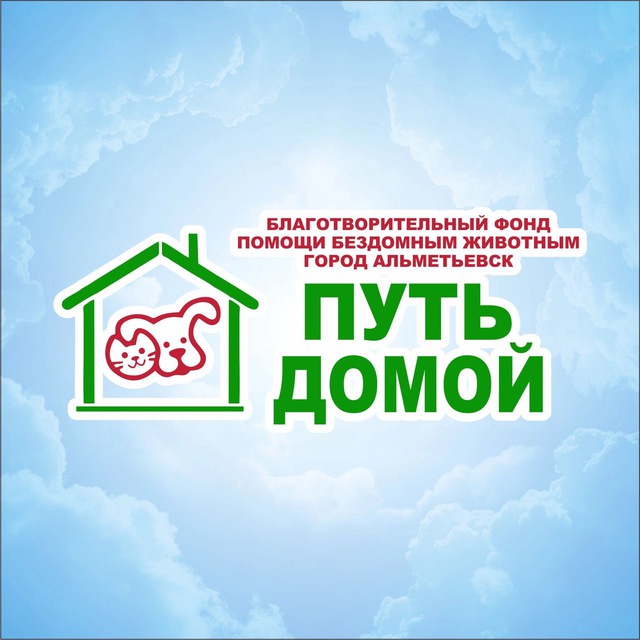 Путь домой ? АЛЬМЕТЬЕВСК