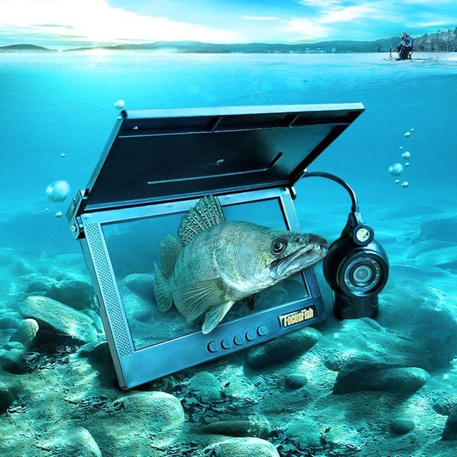? Подводная камера FocusFish ?