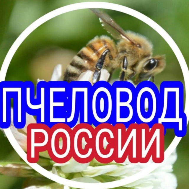 Пчеловод России ?? (Русское общество пчеловодства (РОП)), пасека; beekeeping) Канал: Медолов