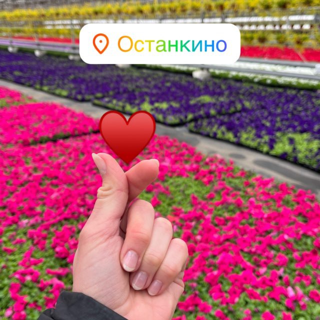 Цветы Останкино