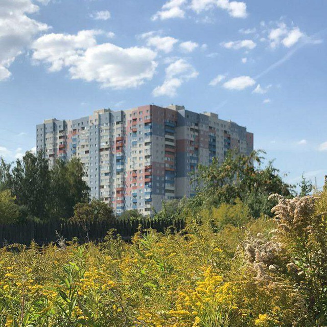 Дом на Рощинской 9, Ивантеевка.