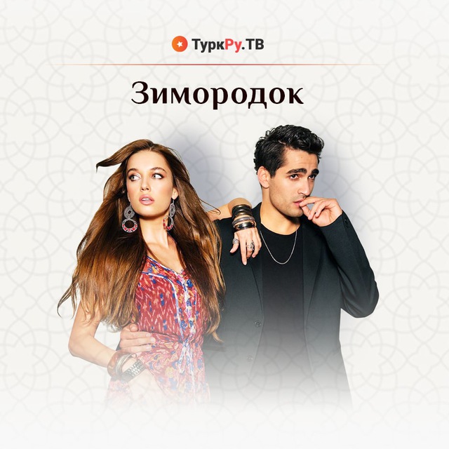 Зимородок - беседа и серии