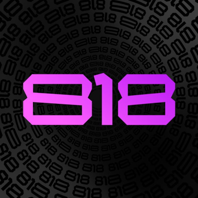 PROJECT818