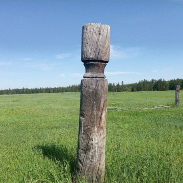 Традиционная культура саха?