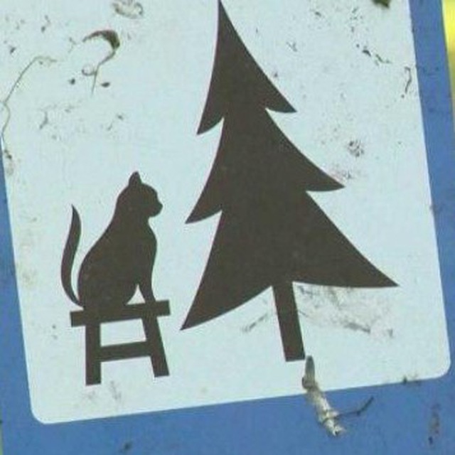 Подпольник