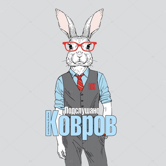 СОСЕДИ Ковров