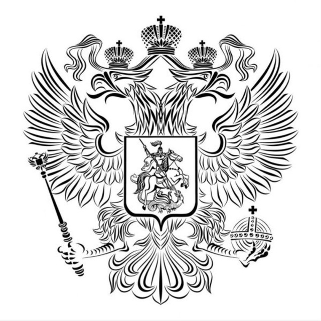 НСО|Национал-социалистическая организация