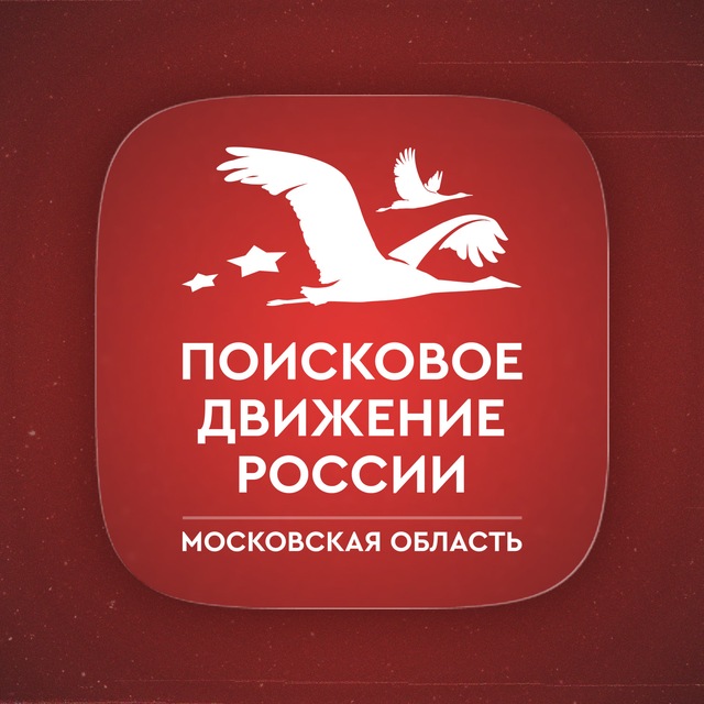 Поисковое движение России в...