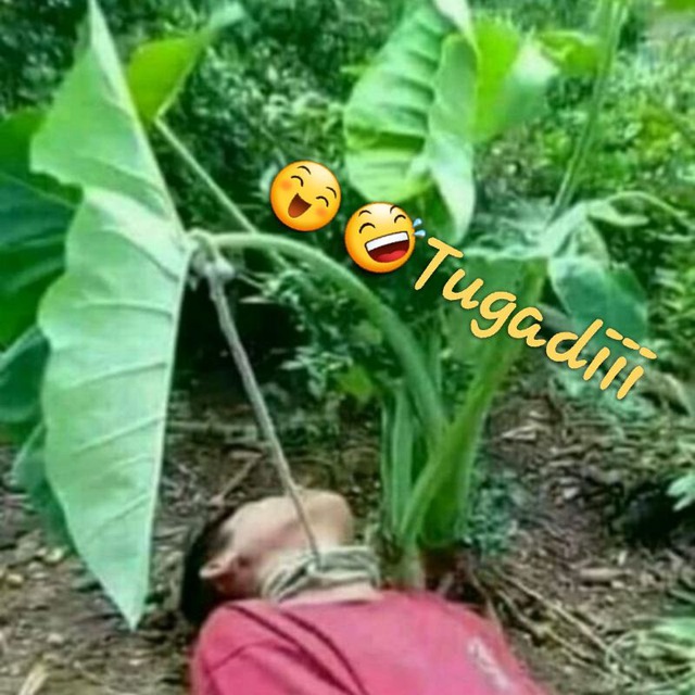 Seksual Natalya Luneva