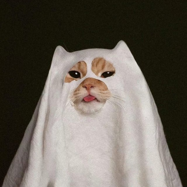 MEOWO