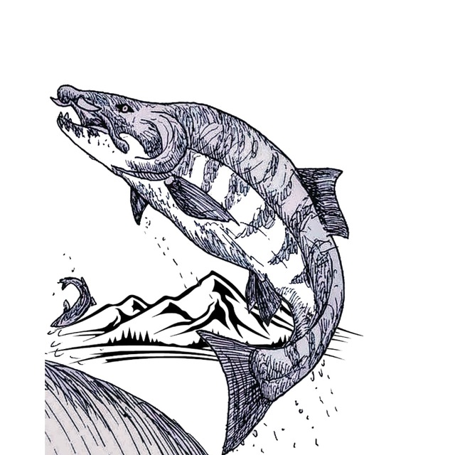 «Камчатский Лосось»