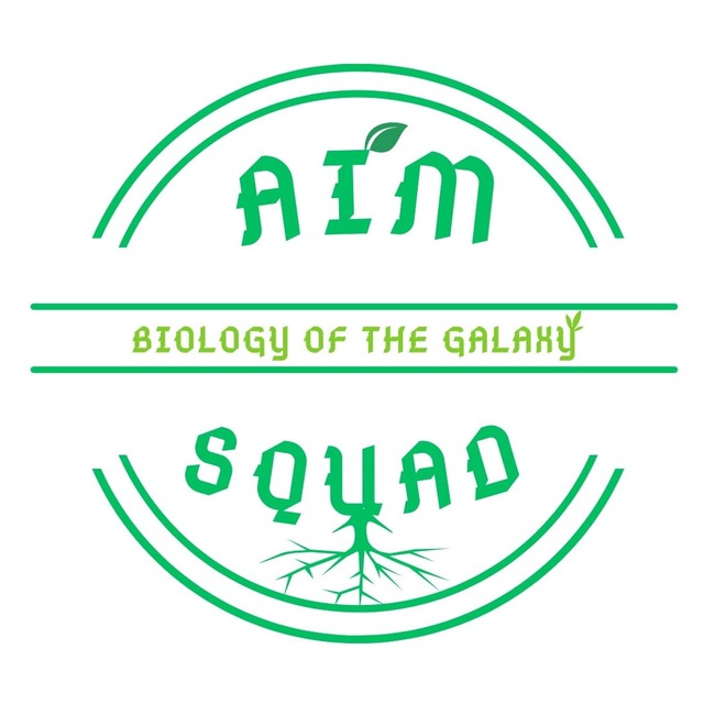 AIM Squad (quizlet)