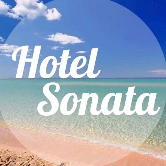 Отель Соната. Крым. Оленевка.