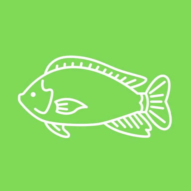 Усадьба «Донская рыба»