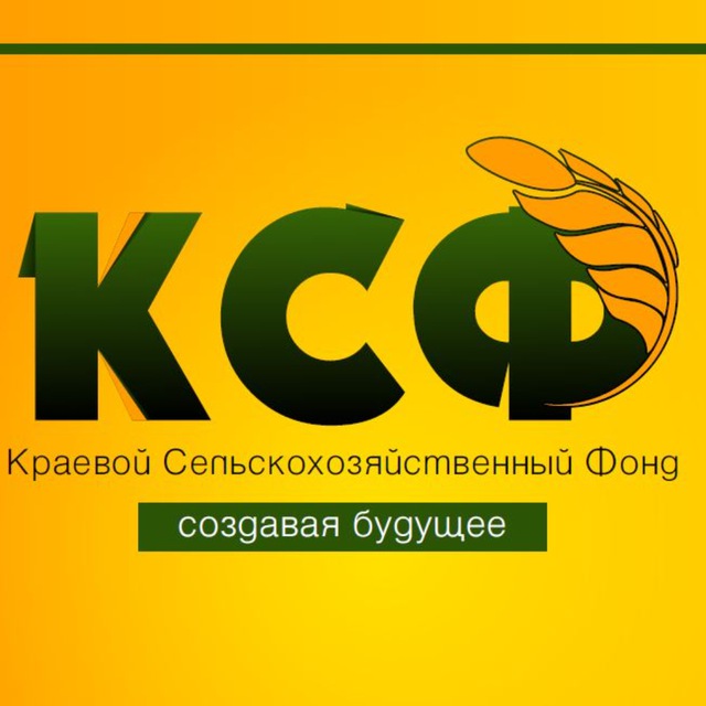 АНО "КСФ"