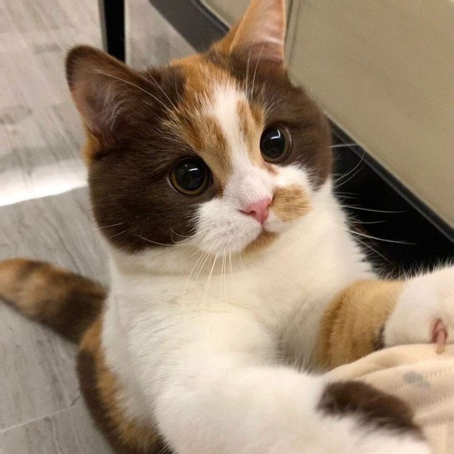 ❗[ПЕРЕЕЗД] ?ᴋᴏᴛᴏ!