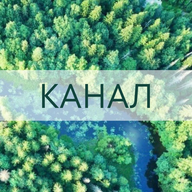 КАНАЛ Спасем Сабуровский лес