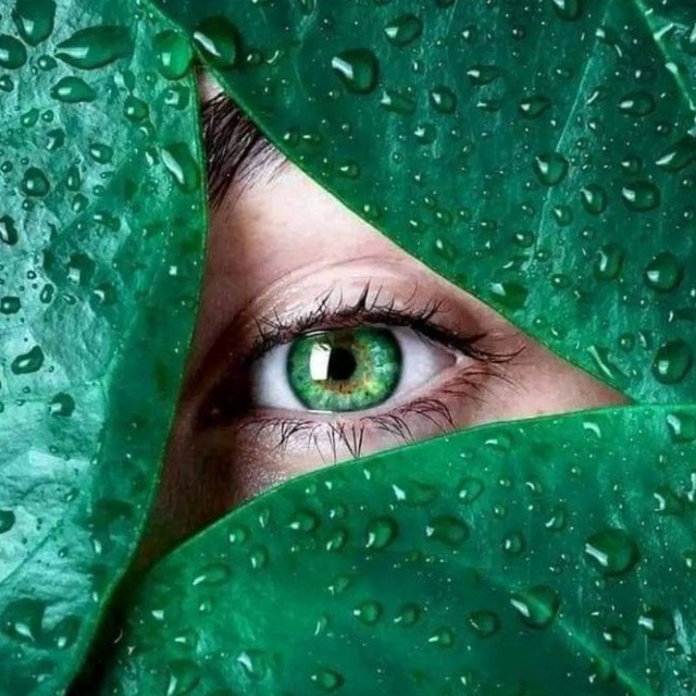 Вокруг Земли