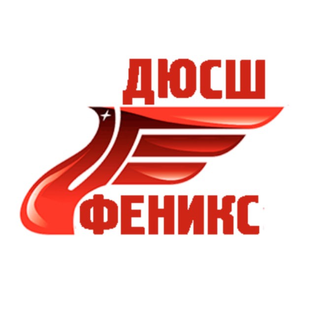 ДЮСШ "Феникс"