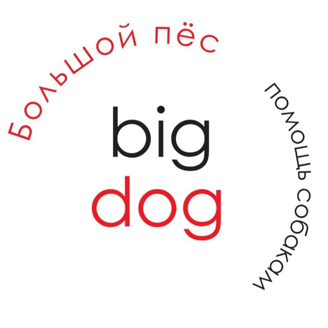 Bigdog_ekb помощь собакам???