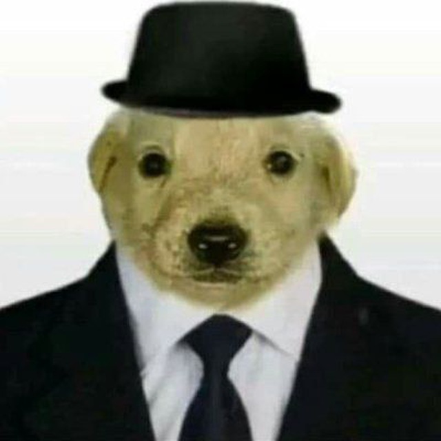 Мельтешение жизни